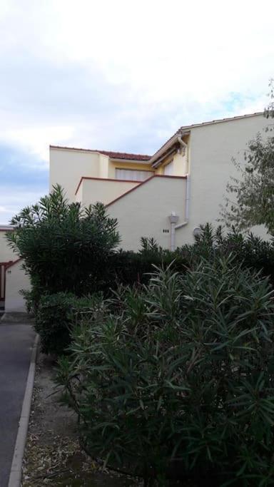 Appartement, Terrasse Barcares, Proche Marche De Noel Le Barcares